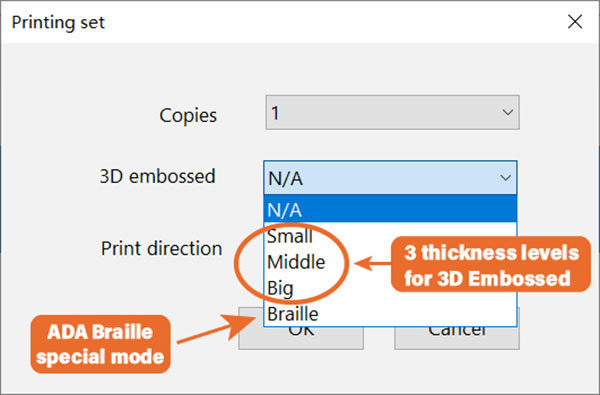 printing braille set