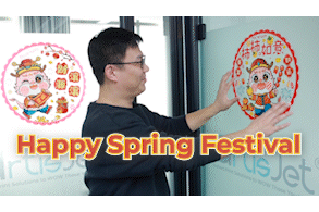 Celebrating Spring Festival Year of the Dragon