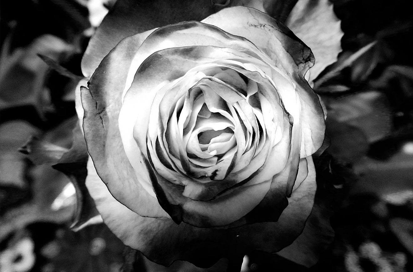 Grayscale Printing