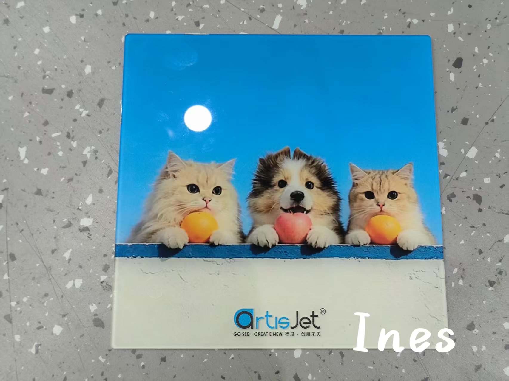 Full photo printing on acrylic — TRUST training sample
